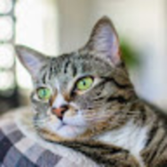 Meet your Posher, Julia - Picture 1 of 1